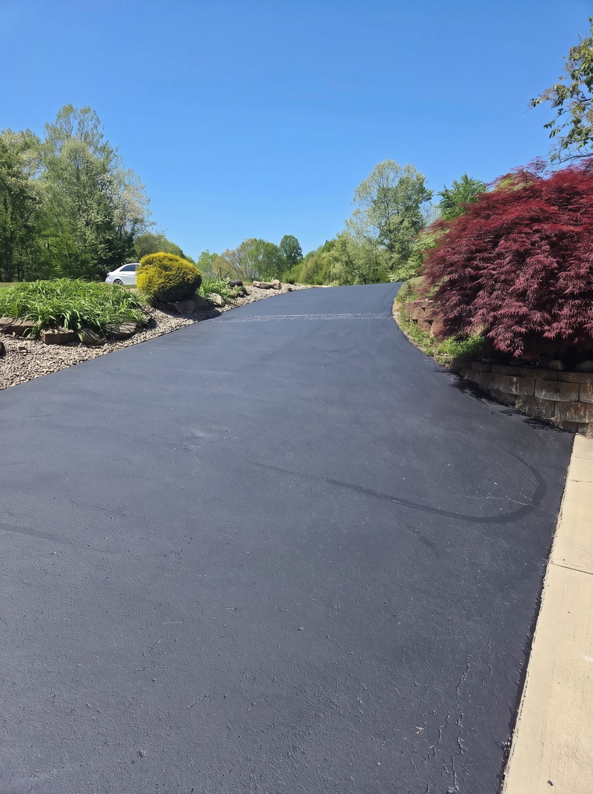 A freshly paved black asphalt driveway curving past landscaping on a sunny day